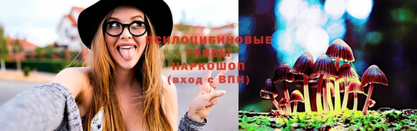 бошки Инсар