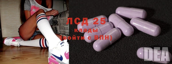 спайс Инта