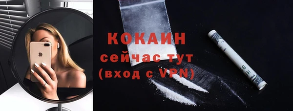 спайс Инта
