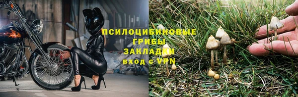 ALPHA PVP Иннополис