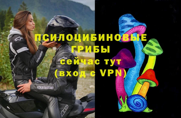 спайс Инта